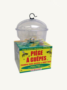 Piège à guêpe